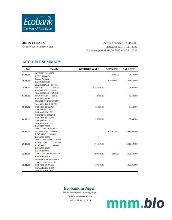 Szablon wyciągu bankowego Niger Bank Of Africa w programie Word i PDF